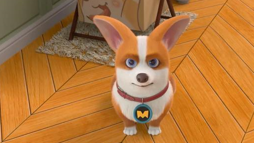 原创飞狗moco番外篇人跟狗可以无聊到什么地步