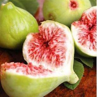 三,无花果丝瓜是一种常见的蔬菜,具有清热解毒,利尿排湿的功效.