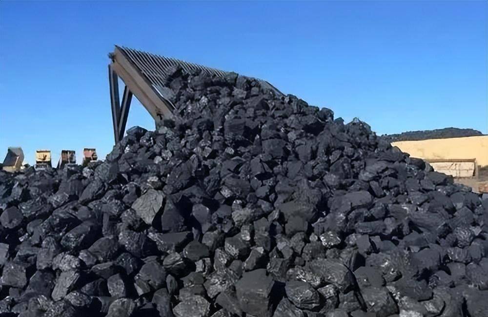 原创05年山西煤老板花6亿在荒漠种葡萄被嘲人傻钱多后来如何