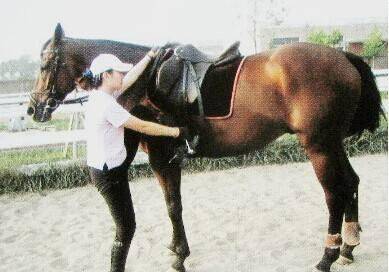 马镫_骑兵_马鞍