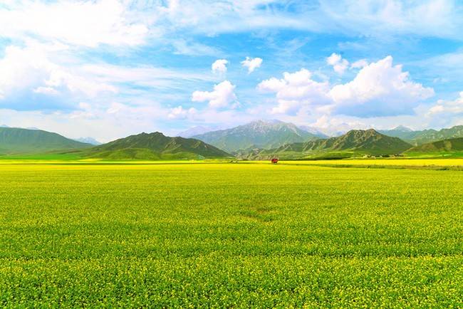 青甘9天8晚旅游攻略推荐这篇超实用亲身游值得驴友们分享