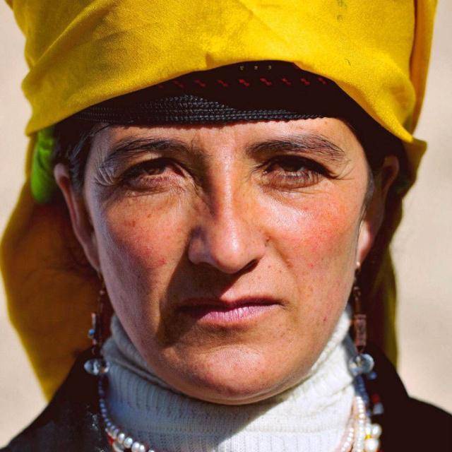 原创横扫全球的雅利安人为什么到了我国却被商朝的一个女人灭了