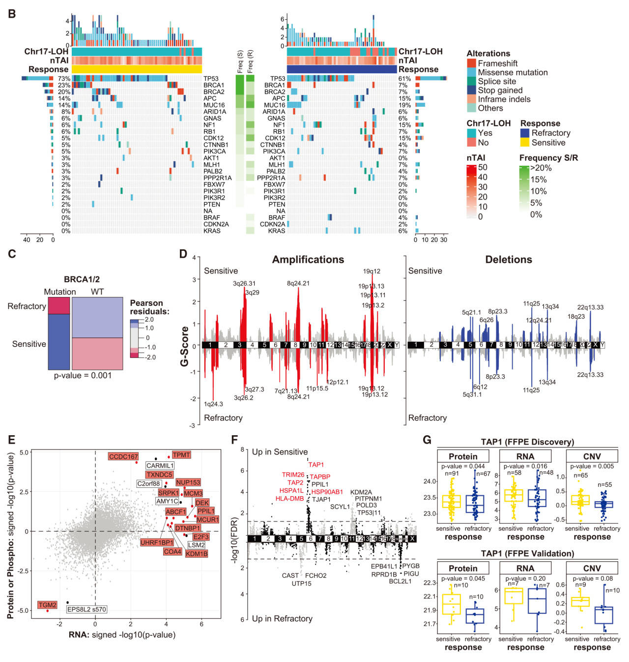 女性福音临床队列多组学赋能卵巢癌精准治疗