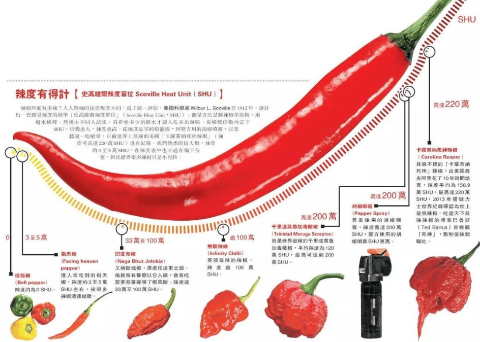 天府老街四川火锅将统一辣度标准一