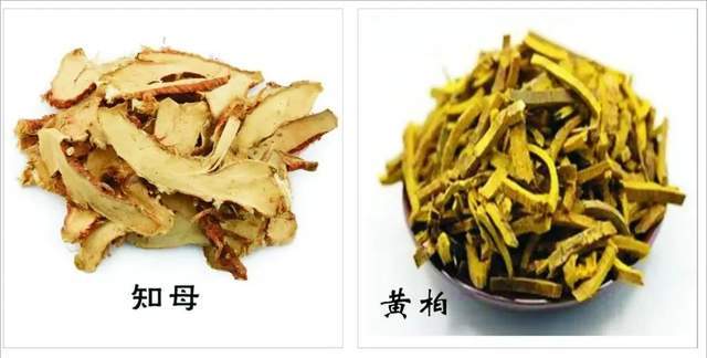 知母,清热滋阴,甘凉清香_症状_食用_作用