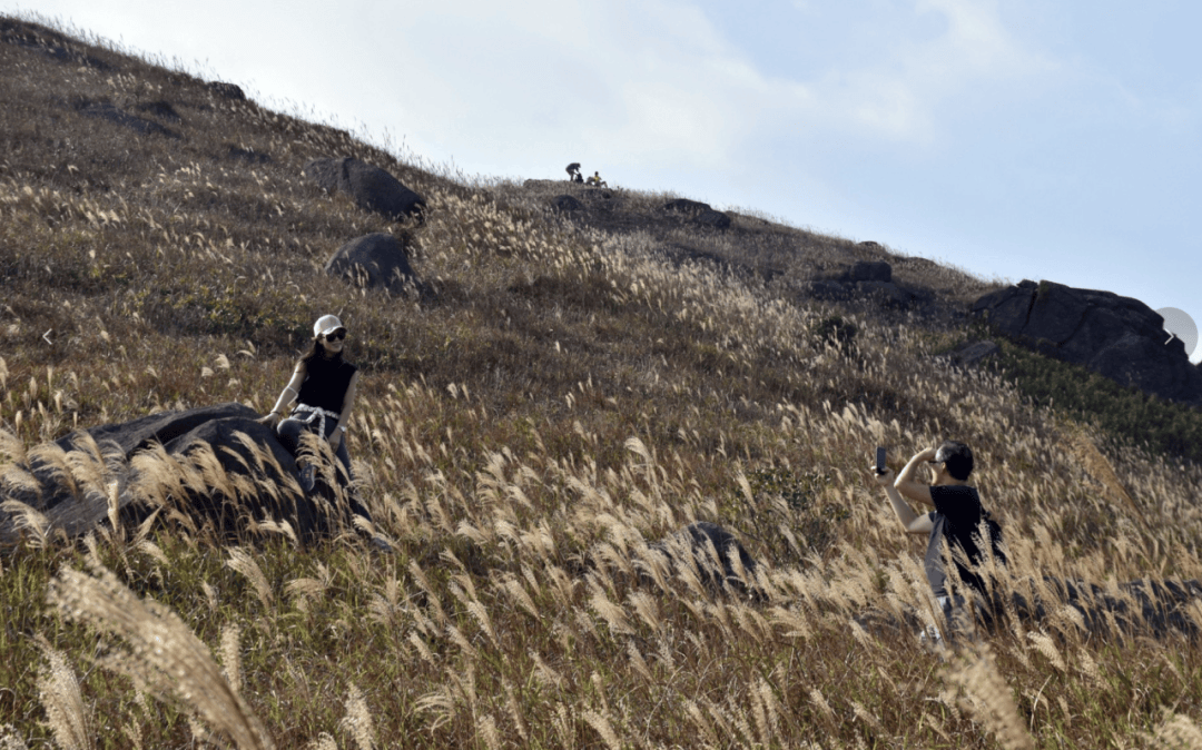 原创探秘美到窒息的香港徒步线每个资深大湾区妈妈必打卡