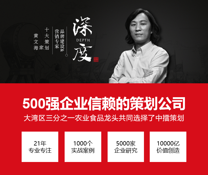 中擂品牌营销策划珠江饼业中华老字号品牌品牌策划画册设计