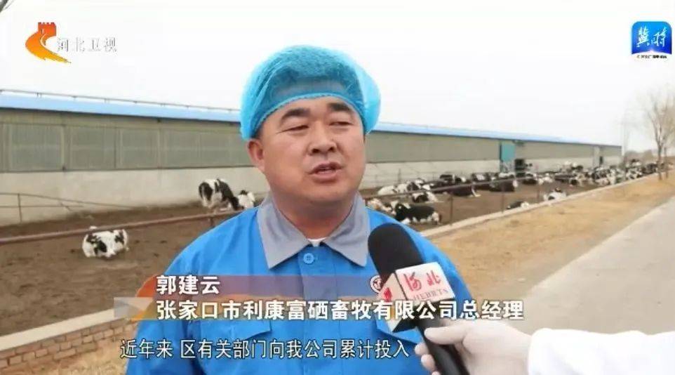 张家口市利康富硒畜牧有限公司总经理 郭建云:过去,黄家梁村附近的