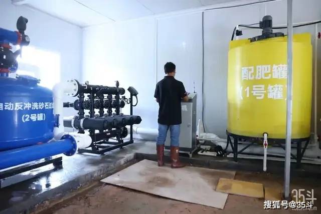 千亩农田1人运营亩均产值超万元东江牧歌把数字化变成生产力