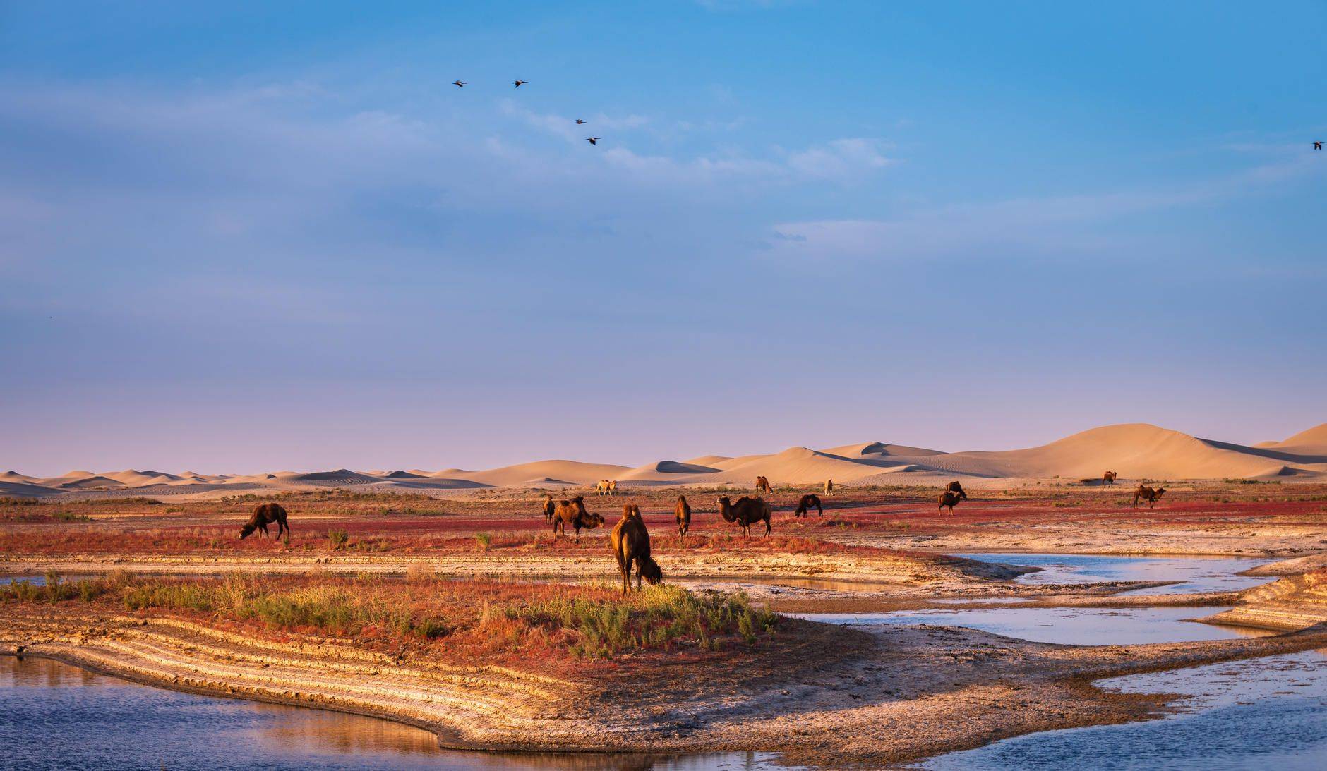 新疆4日游价格是多少去乌鲁木齐旅游四天具体行程分享