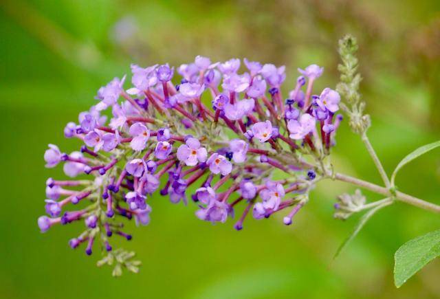 原创撒网吹箭毒杀西方人为了捕鱼真是拼了难怪渔业发达