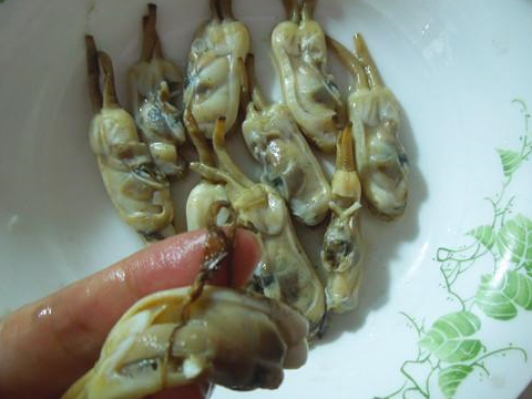 蛏子这么吃最鲜美,补充蛋白质和纤维素,不用剥壳适合懒人_韭菜_麻油_