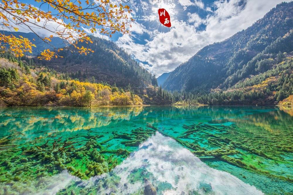 四川有哪些旅游景点,去四川旅游必打卡的地点_景区_中国_峨眉山