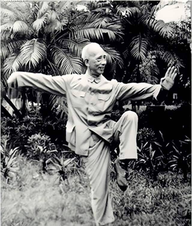 虎鹤先生:黄飞鸿最有成就的弟子,开创新门派,达广东武术最巅峰_林世荣