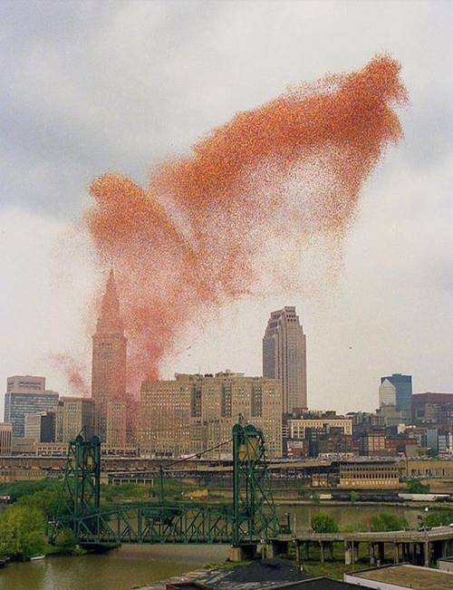 美国城市一次放飞150万只气球,结果悲剧了_活动_克利夫兰_因为