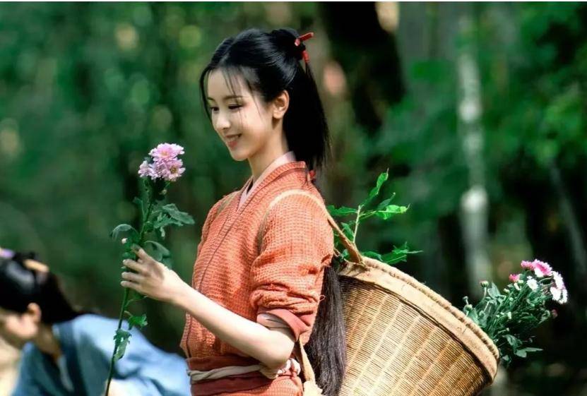 浣溪沙即将开播佟丽娅版的西施你期待么