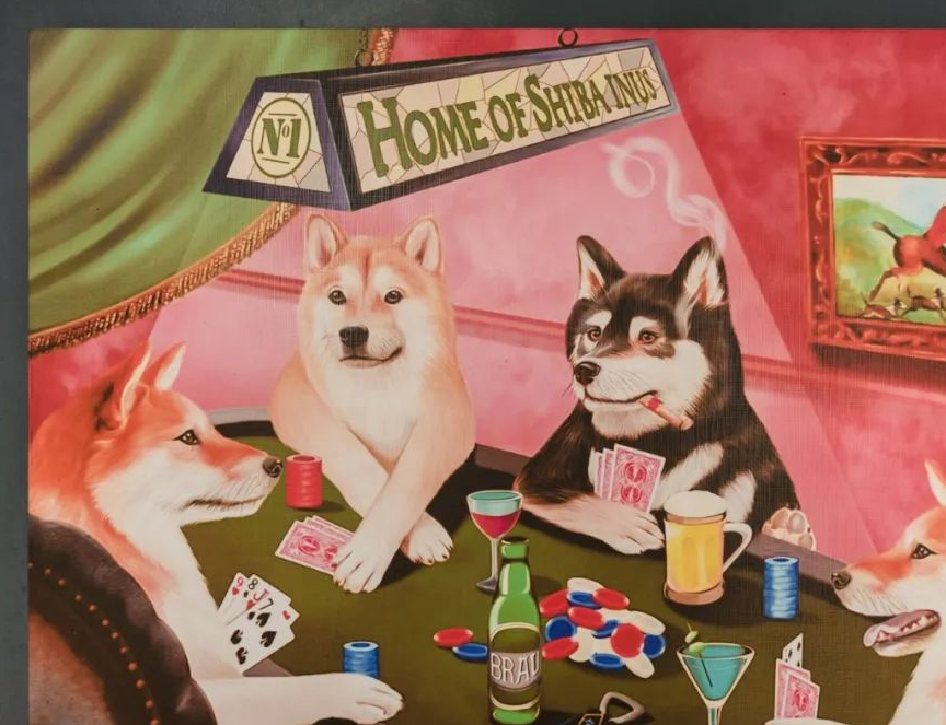 柴犬_训练_狗狗