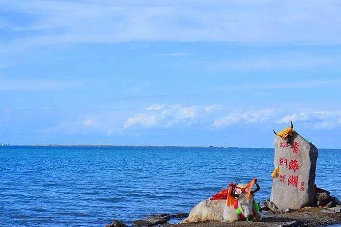 青甘环线8日游详细攻略,这篇旅游攻略不要错过!_茶卡盐湖_西北_景点