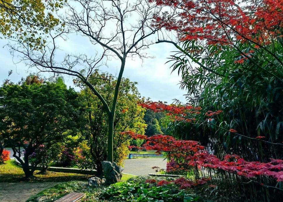 上海金山新城公园美到令人心旷神怡