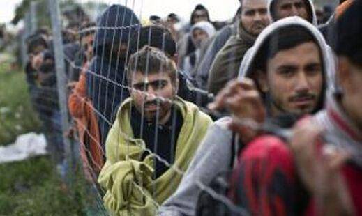 为何德国成为中东难民的首选落脚点,因为宽容,认可,以及高福利_欧洲_