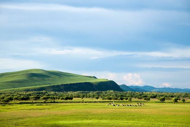 呼伦贝尔六日游定制旅行攻略与预算全解析_内蒙古_草原_day