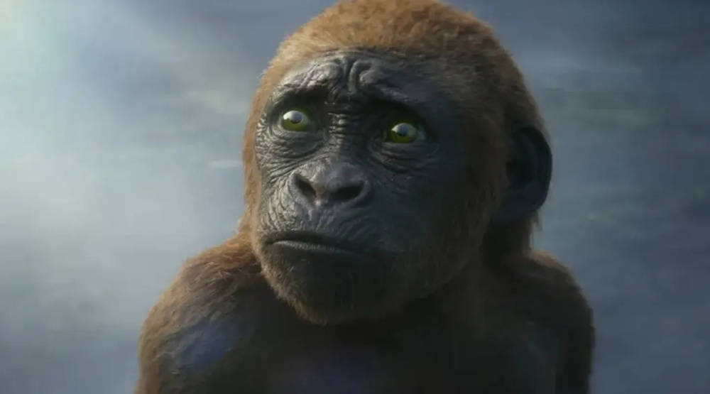 《哥斯拉大战金刚2》一扫颓势,好莱坞重回王位了_怪兽_电影_人类