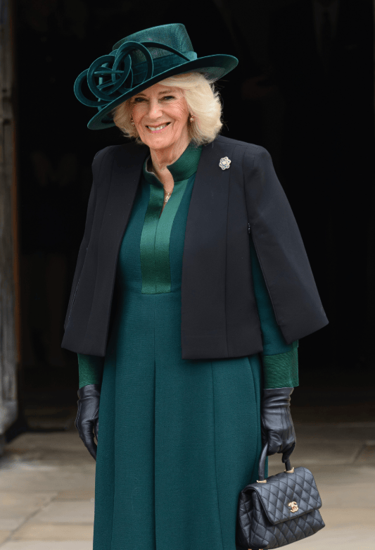 还佩戴了一枚新的胸针,的这枚胸针也曾属于伊丽莎白二世女王的收藏,太