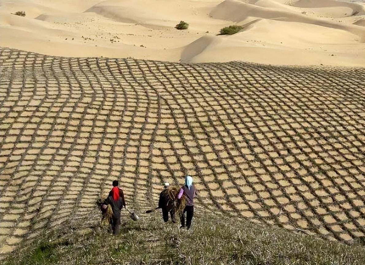 电影蒙古沙漠图片