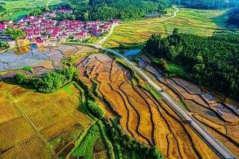 我的经历102退而不休活得有意思有意义28参加梁漱溟乡建25结对子反馈