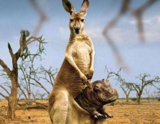 虽然当时是恐龙的天下,但是最早的哺乳动物已经出现了,经过了数千万年