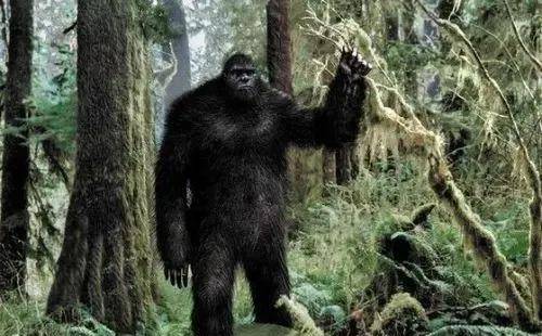 原创大兴安岭突现野人行径抓捕后意外发现世外文明传说生物被活捉