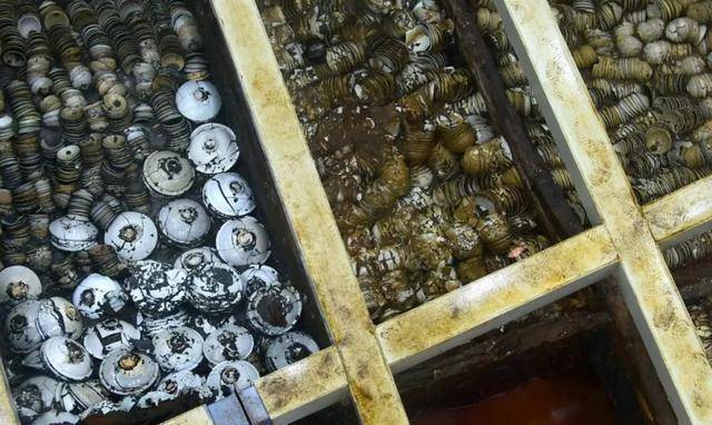 原创国家花3亿元打捞的沉船曾藏身海底800年船内藏有8万件珍品