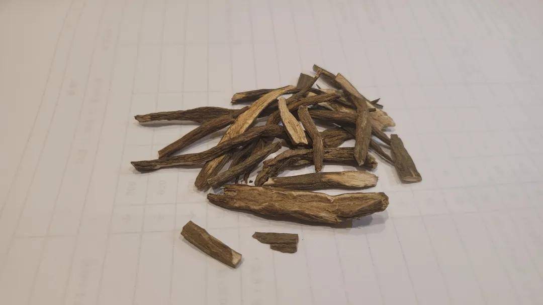 中药_功效_阳气