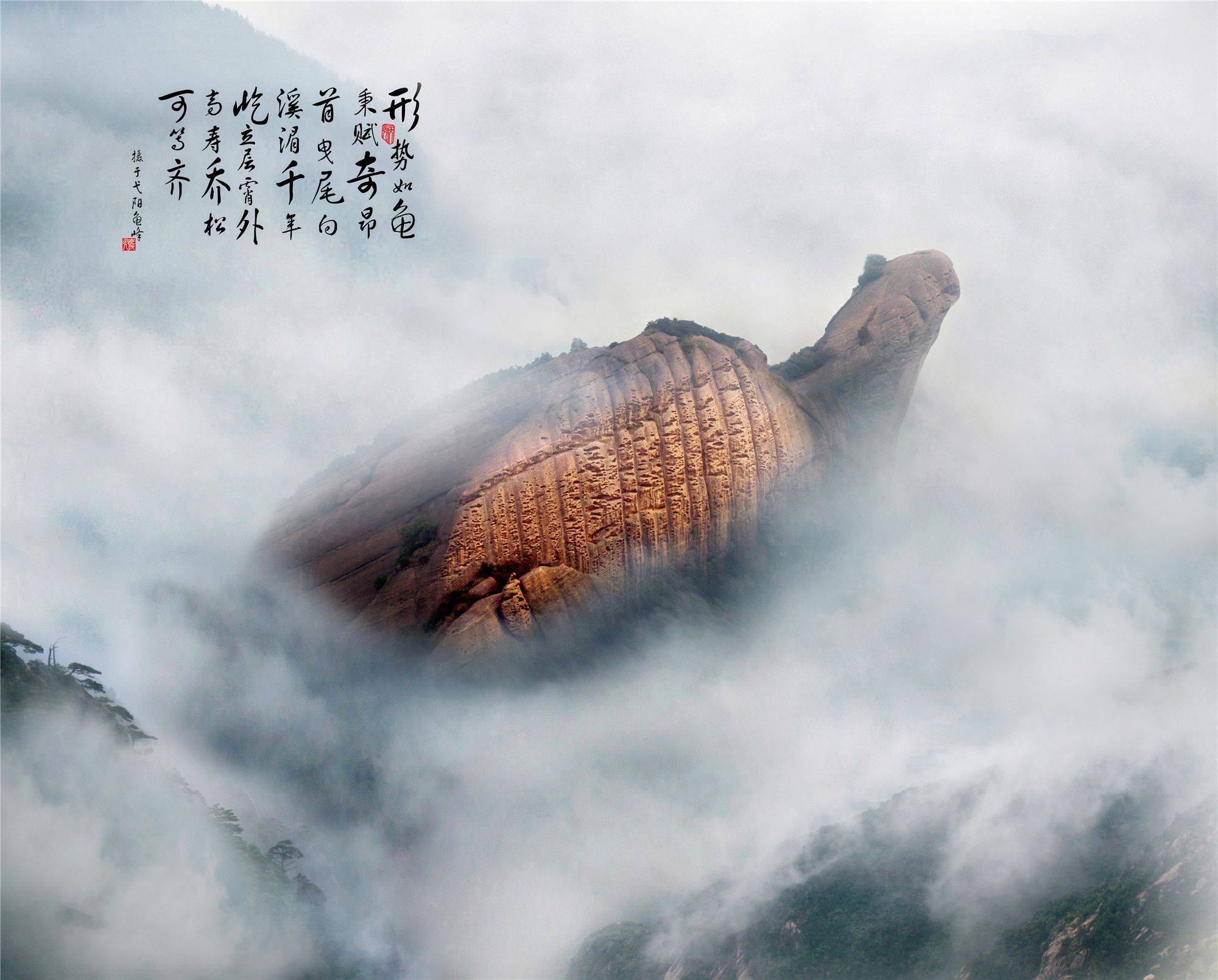 山岳型景区如何缔造中国康养度假旅游新纪元?_龟峰_自然资源_张家界