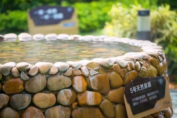 水杉湿地温泉入户美墅惠州惠阳温泉别墅碧桂园润杨溪谷售楼处电话:400