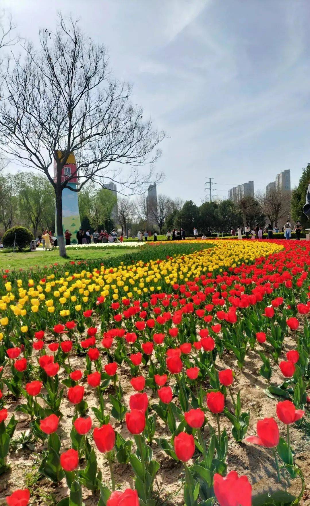 清明踏青赏景,济宁公交绿色出行攻略来啦_公园_生态_市民