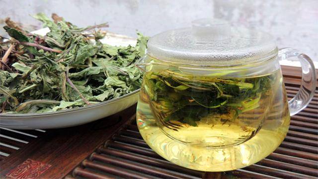 原创中药又立功蒲公英可以消灭98癌细胞消结节医生说出大实话