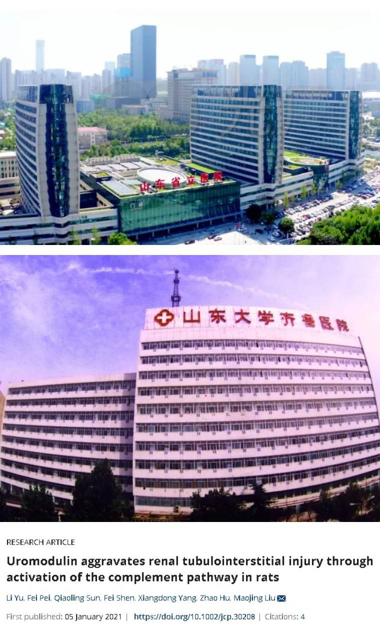 与两篇文章图片重复山东大学齐鲁医院的5分论文被关注