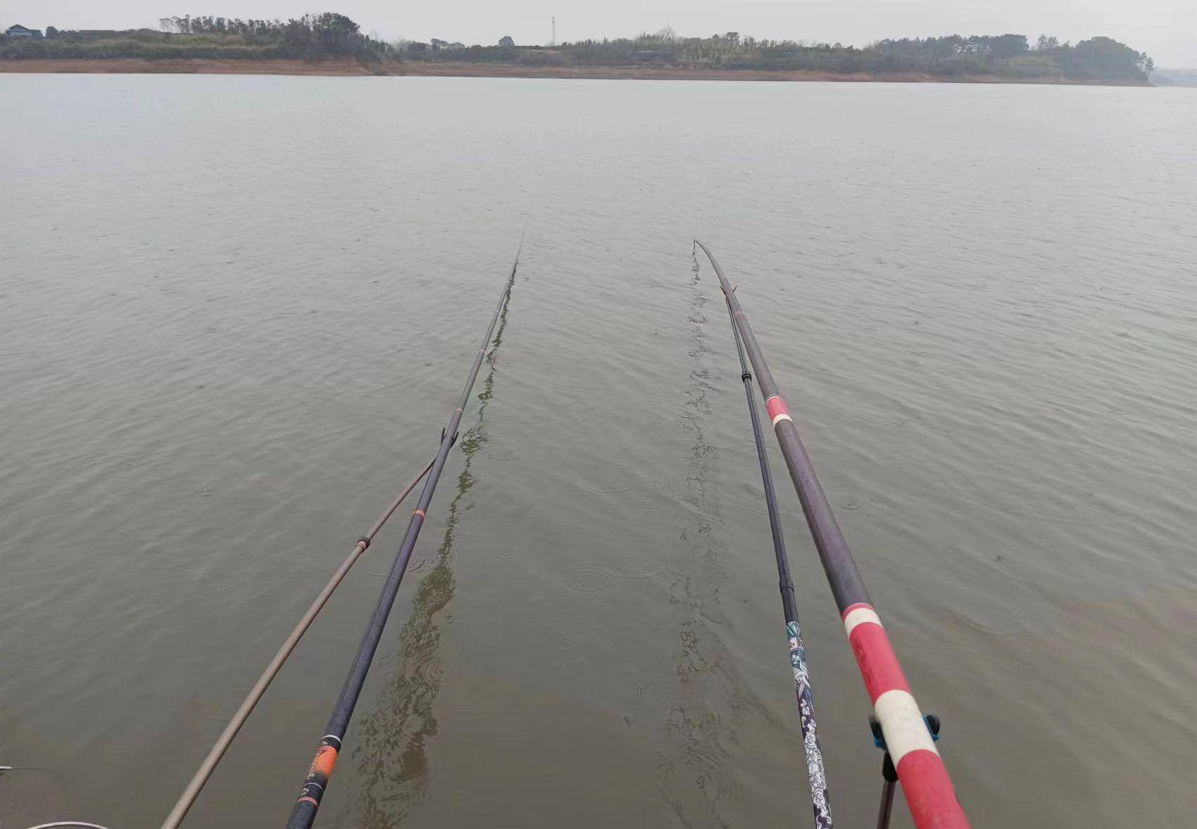 原创仲春钓滩攻略这样的浅滩才出鱼斤鲫频出成群来