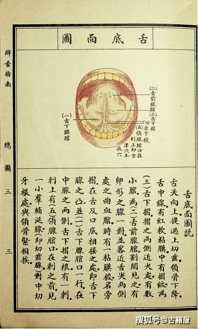 中医舌诊古籍辨舌指南民国石印本
