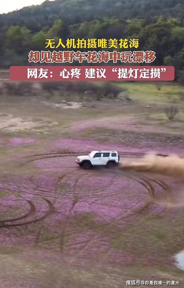 提灯照河山肉车图片