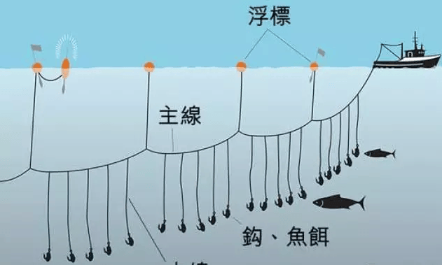 钓黄鳝的技巧图片