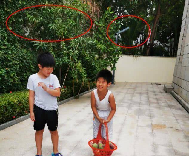 沙溢晒两个儿子近照,豪宅内景曝光,种果树,有路灯像极了农家院