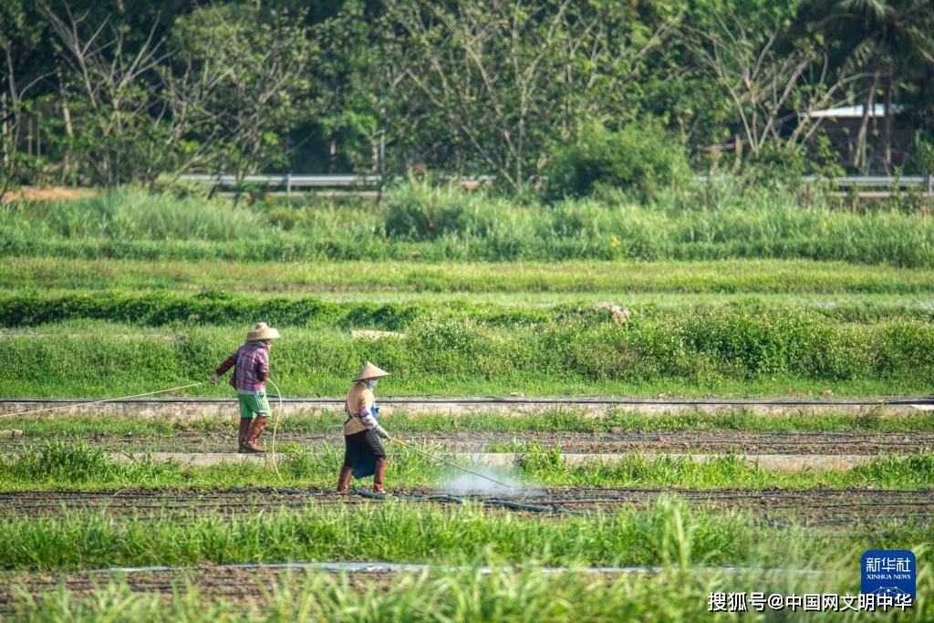从北到南的春耕"渐变色"_东北_全国_时节
