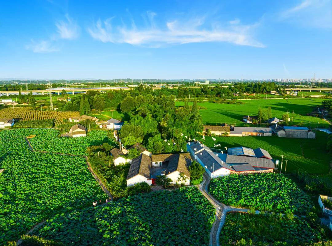 乘坐小火车穿梭在田野间,或是在稻田乐园里游玩,享受乡村野趣生活