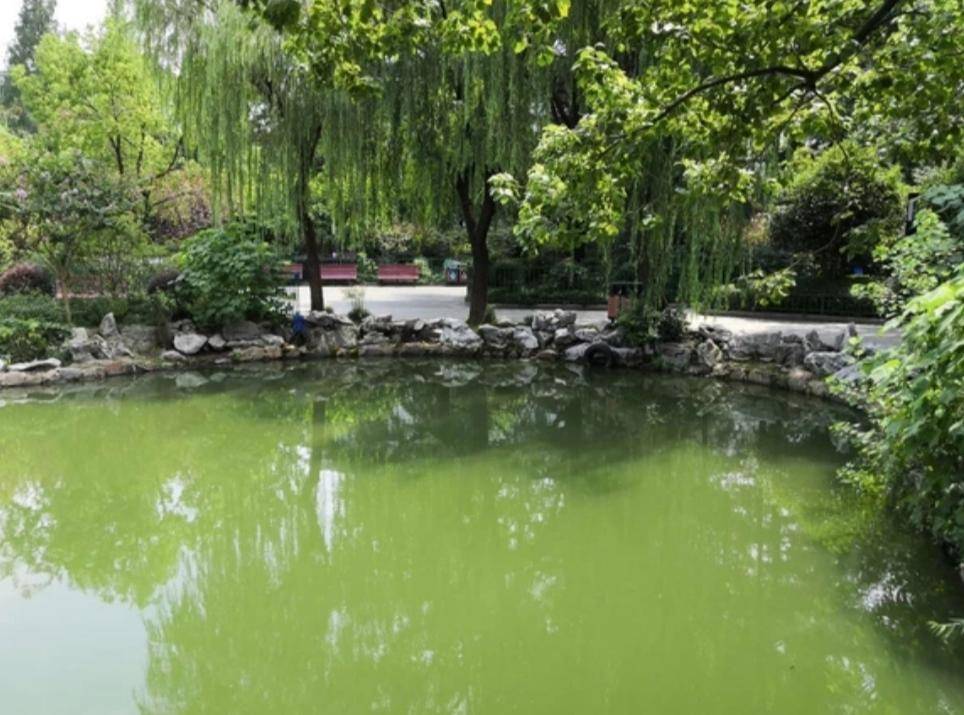 原创上海普陀沪太公园美景醉人