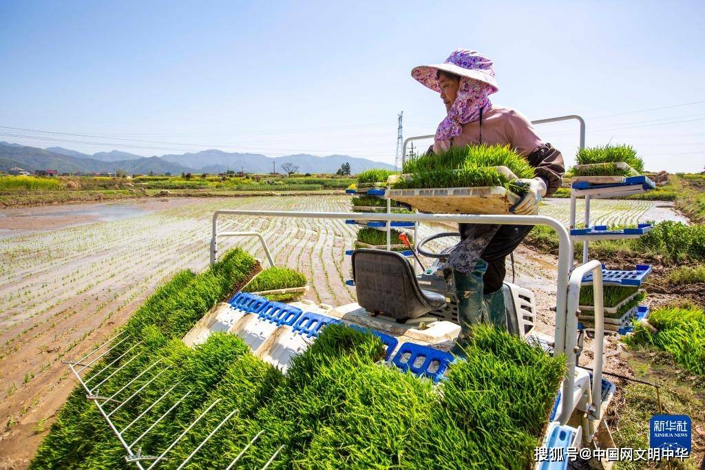 从北到南的春耕"渐变色"_东北_全国_时节