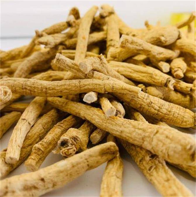 原创西洋参哪里的产地比较好西洋参泡水喝一天需几根