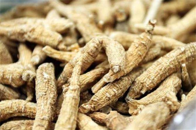 西洋参哪里的产地比较好?西洋参泡水喝一天需几根?_加拿大_地方_品质