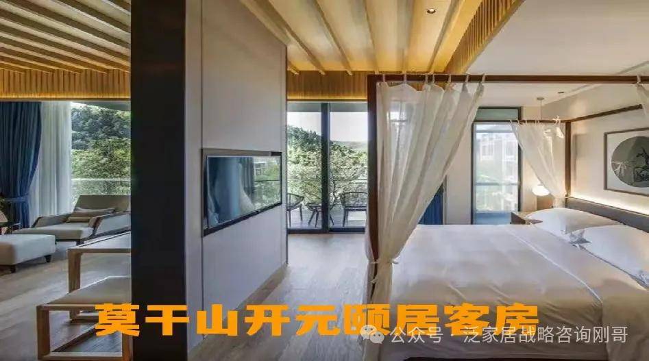 民宿领域的覆盖了竹隐舍得,桃花源民宿,悠然九希,开元颐居醉清风,净园